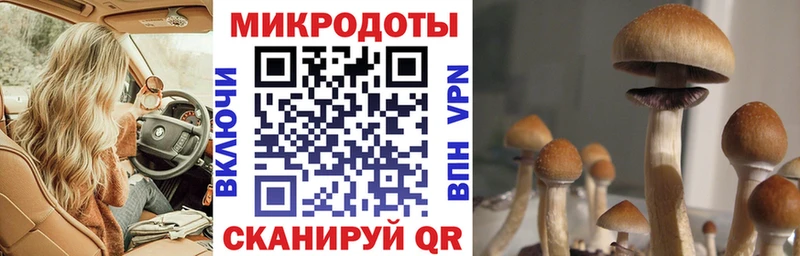 Купить закладки  Козловка  Галлюциногенные грибы Psilocybine cubensis 